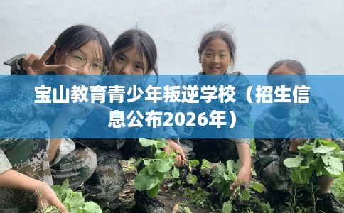 宝山教育青少年叛逆学校（招生信息公布2026年）