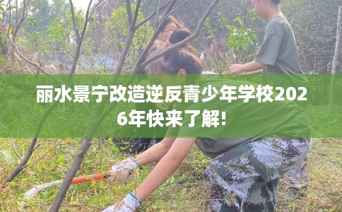 丽水景宁改造逆反青少年学校2026年快来了解!