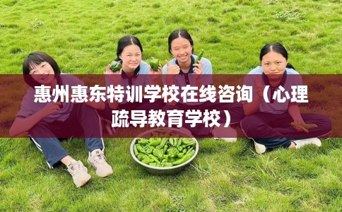惠州惠东特训学校在线咨询（心理疏导教育学校）