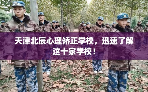 天津北辰心理矫正学校，迅速了解这十家学校！