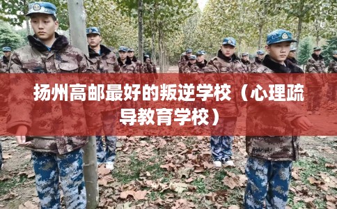 扬州高邮最好的叛逆学校(心理疏导教育学校) 扬州高邮最好的叛逆学校(心理疏导教育学校)