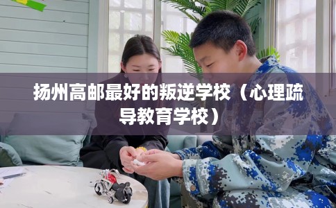 扬州高邮最好的叛逆学校(心理疏导教育学校) 扬州高邮最好的叛逆学校(心理疏导教育学校)