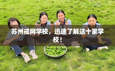 苏州戒网学校,迅速了解这十家学校! 苏州戒网学校,迅速了解这十家学校!