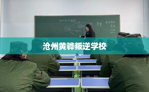 沧州黄骅叛逆学校 沧州黄骅叛逆学校