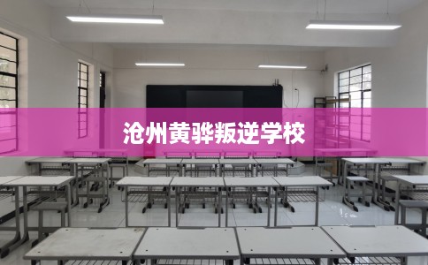 沧州黄骅叛逆学校 沧州黄骅叛逆学校
