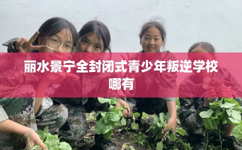 丽水景宁全封闭式青少年叛逆学校哪有