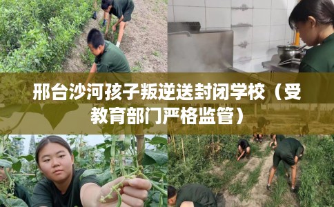 邢台沙河孩子叛逆送封闭学校（受教育部门严格监管）