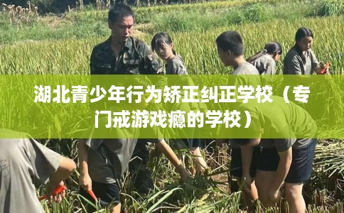 湖北青少年行为矫正纠正学校(专门戒游戏瘾的学校) 湖北青少年行为矫正纠正学校(专门戒游戏瘾的学校)