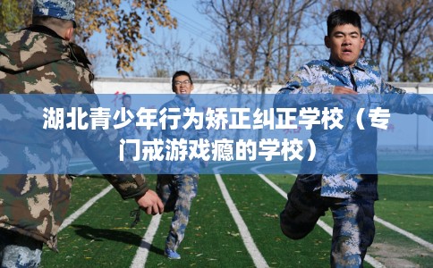 湖北青少年行为矫正纠正学校(专门戒游戏瘾的学校) 湖北青少年行为矫正纠正学校(专门戒游戏瘾的学校)