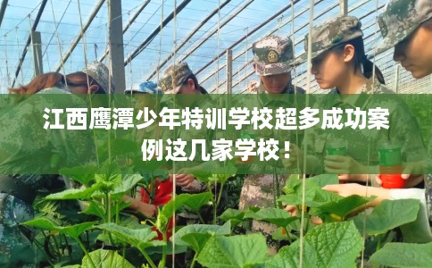 江西鹰潭少年特训学校超多成功案例这几家学校！