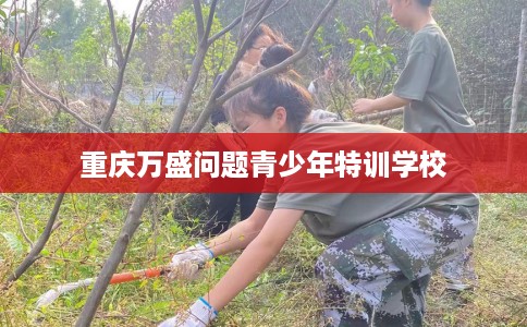 重庆万盛问题青少年特训学校