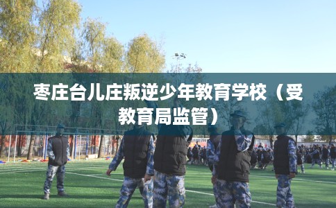 枣庄台儿庄叛逆少年教育学校（受教育局监管）