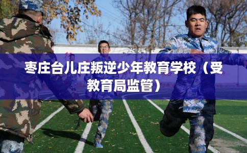 枣庄台儿庄叛逆少年教育学校（受教育局监管）