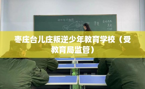 枣庄台儿庄叛逆少年教育学校（受教育局监管）