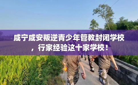 咸宁咸安叛逆青少年管教封闭学校，行家经验这十家学校！