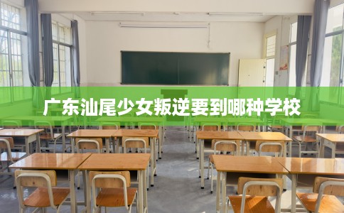 广东汕尾少女叛逆要到哪种学校