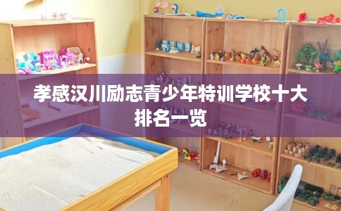 孝感汉川励志青少年特训学校十大排名一览