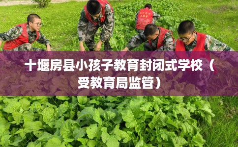 十堰房县小孩子教育封闭式学校（受教育局监管）