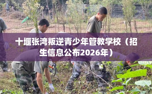 十堰张湾叛逆青少年管教学校（招生信息公布2026年）