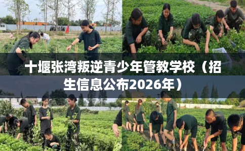 十堰张湾叛逆青少年管教学校（招生信息公布2026年）