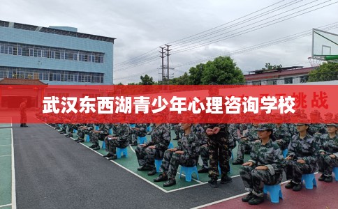 武汉东西湖青少年心理咨询学校