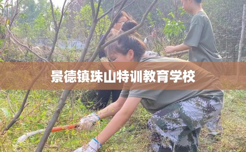 景德镇珠山特训教育学校