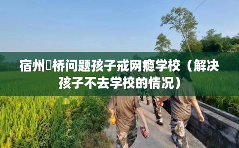 宿州埇桥问题孩子戒网瘾学校（解决孩子不去学校的情况）