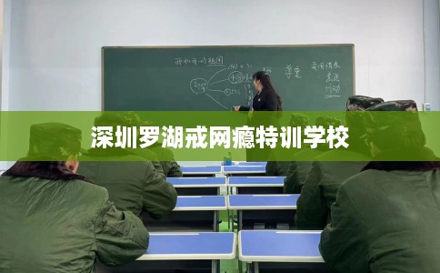 深圳罗湖戒网瘾特训学校