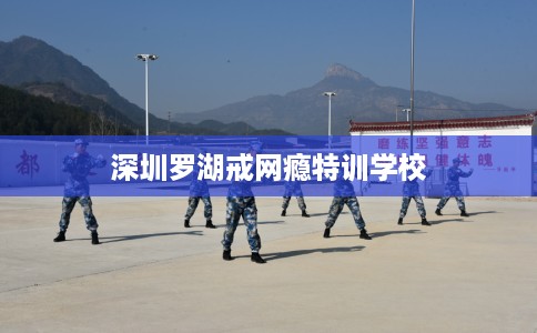 深圳罗湖戒网瘾特训学校