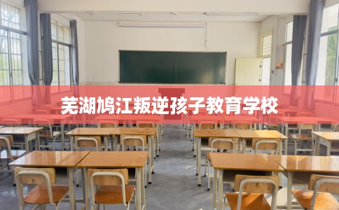 芜湖鸠江叛逆孩子教育学校