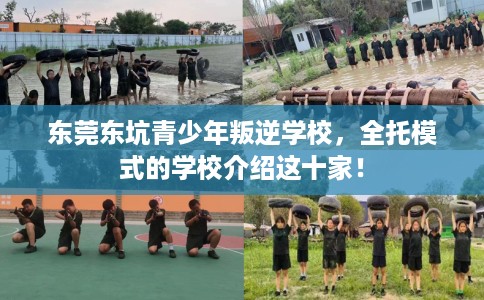 东莞东坑青少年叛逆学校，全托模式的学校介绍这十家！