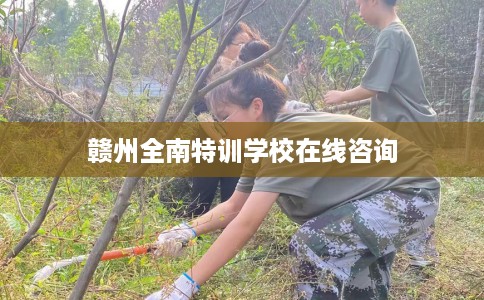 赣州全南特训学校在线咨询