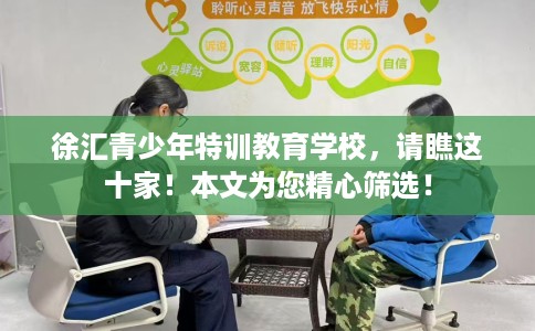 徐汇青少年特训教育学校，请瞧这十家！本文为您精心筛选！