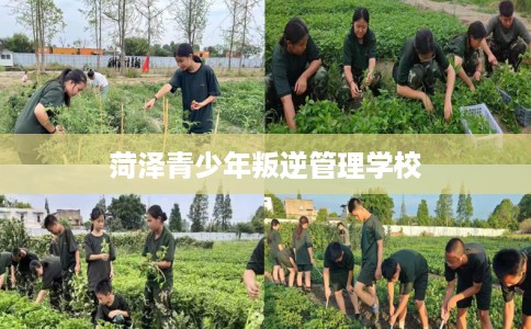菏泽青少年叛逆管理学校