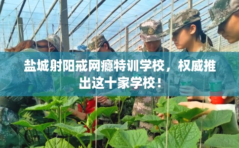 盐城射阳戒网瘾特训学校，权威推出这十家学校！