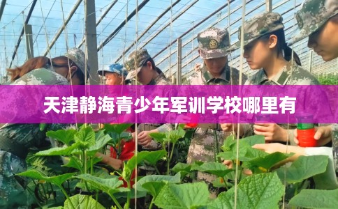天津静海青少年军训学校哪里有