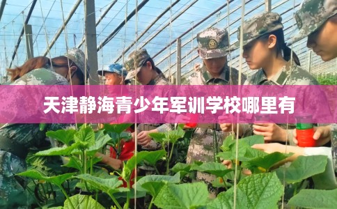 天津静海青少年军训学校哪里有