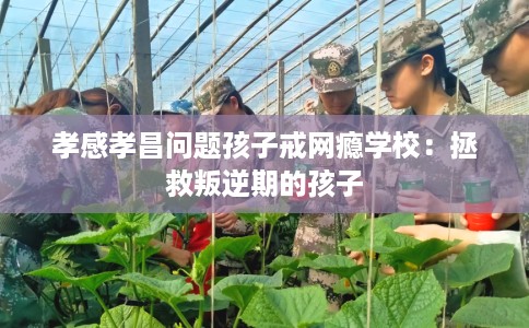 孝感孝昌问题孩子戒网瘾学校：拯救叛逆期的孩子