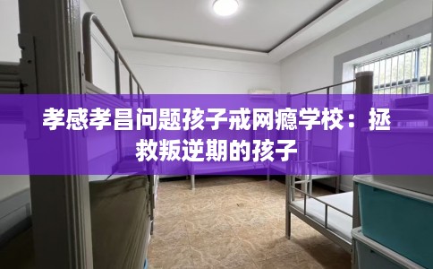 孝感孝昌问题孩子戒网瘾学校：拯救叛逆期的孩子