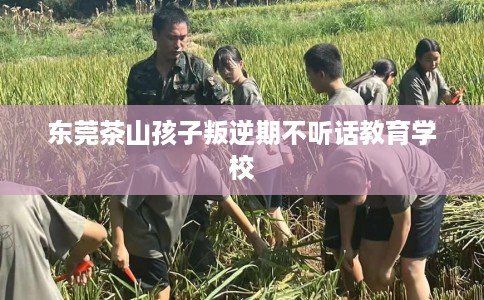 东莞茶山孩子叛逆期不听话教育学校