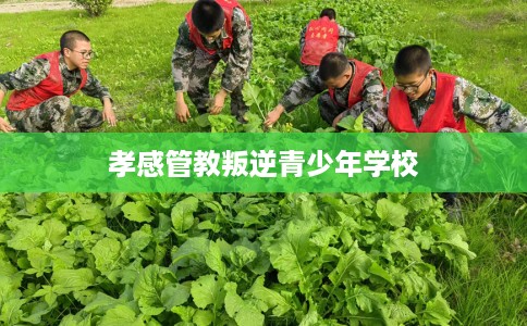 孝感管教叛逆青少年学校