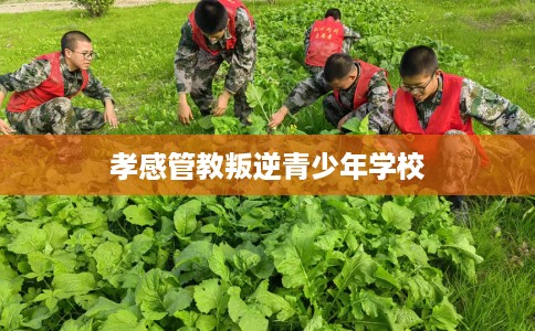 孝感管教叛逆青少年学校