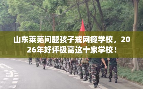 山东莱芜问题孩子戒网瘾学校，2026年好评极高这十家学校！