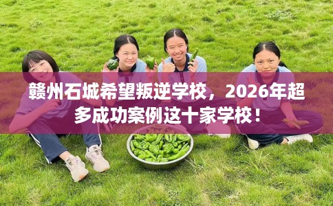 赣州石城希望叛逆学校，2026年超多成功案例这十家学校！