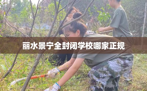丽水景宁全封闭学校哪家正规