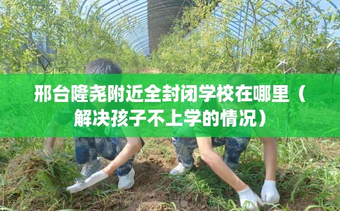 邢台隆尧附近全封闭学校在哪里(解决孩子不上学的情况) 邢台隆尧附近全封闭学校在哪里(解决孩子不上学的情况)