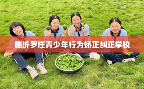 临沂罗庄青少年行为矫正纠正学校
