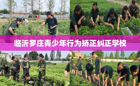 临沂罗庄青少年行为矫正纠正学校