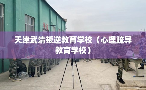 天津武清叛逆教育学校（心理疏导教育学校）