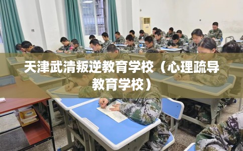 天津武清叛逆教育学校（心理疏导教育学校）